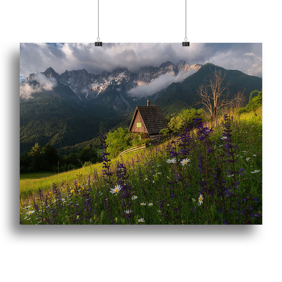 On The Meadows Canvas Print or Poster - Canvas Art Rocks - 2