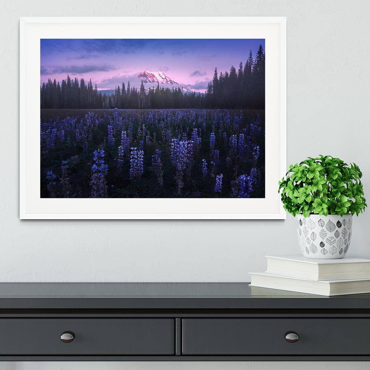 Adam's Lupine Framed Print - Canvas Art Rocks - 5