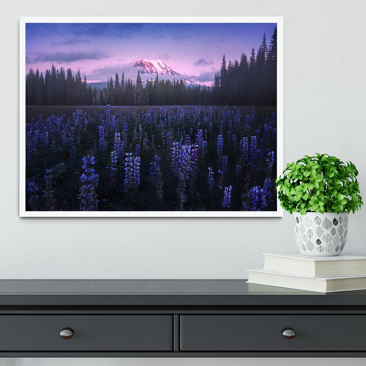 Adam's Lupine Framed Print - Canvas Art Rocks -6