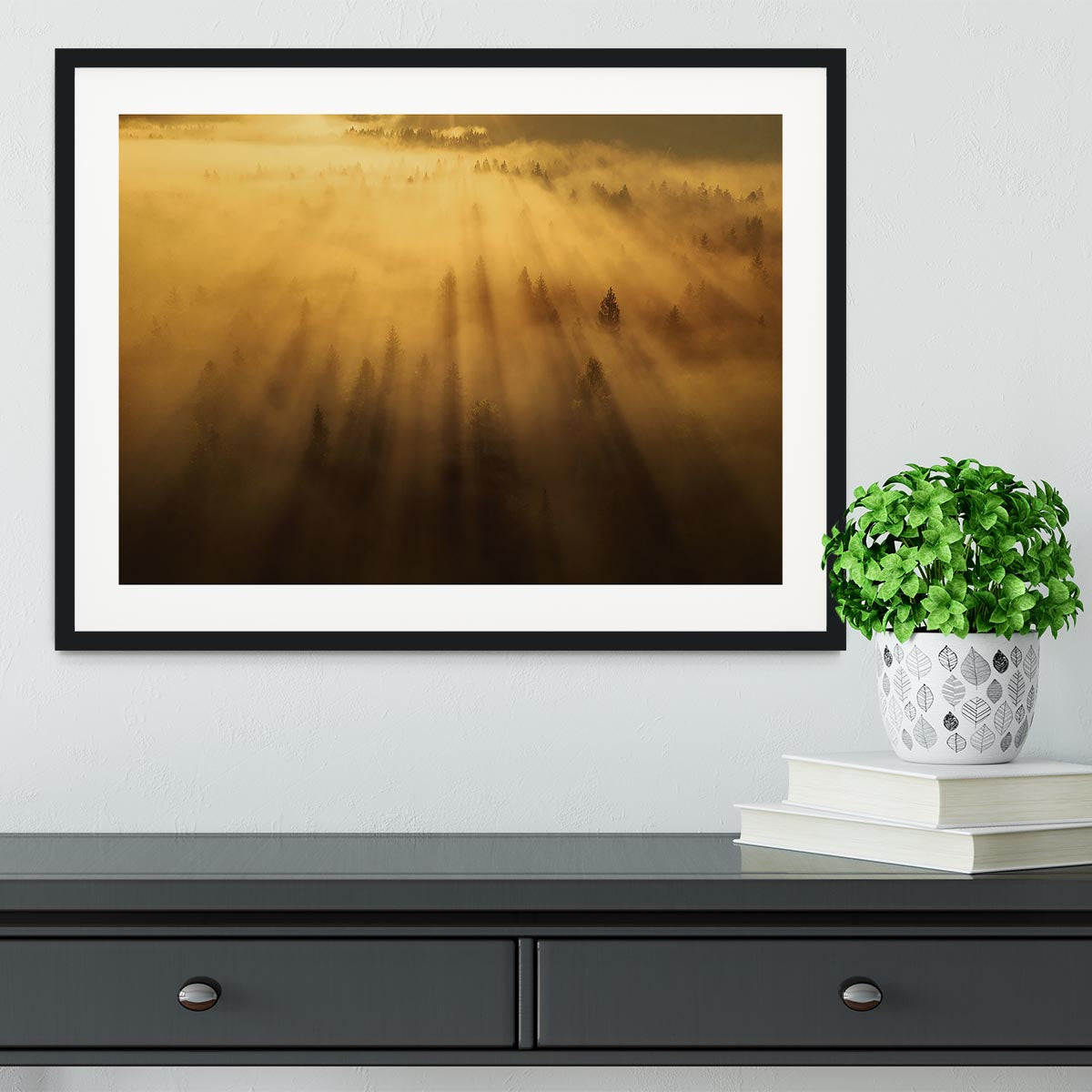 Morning In The Forest Framed Print - Canvas Art Rocks - 1