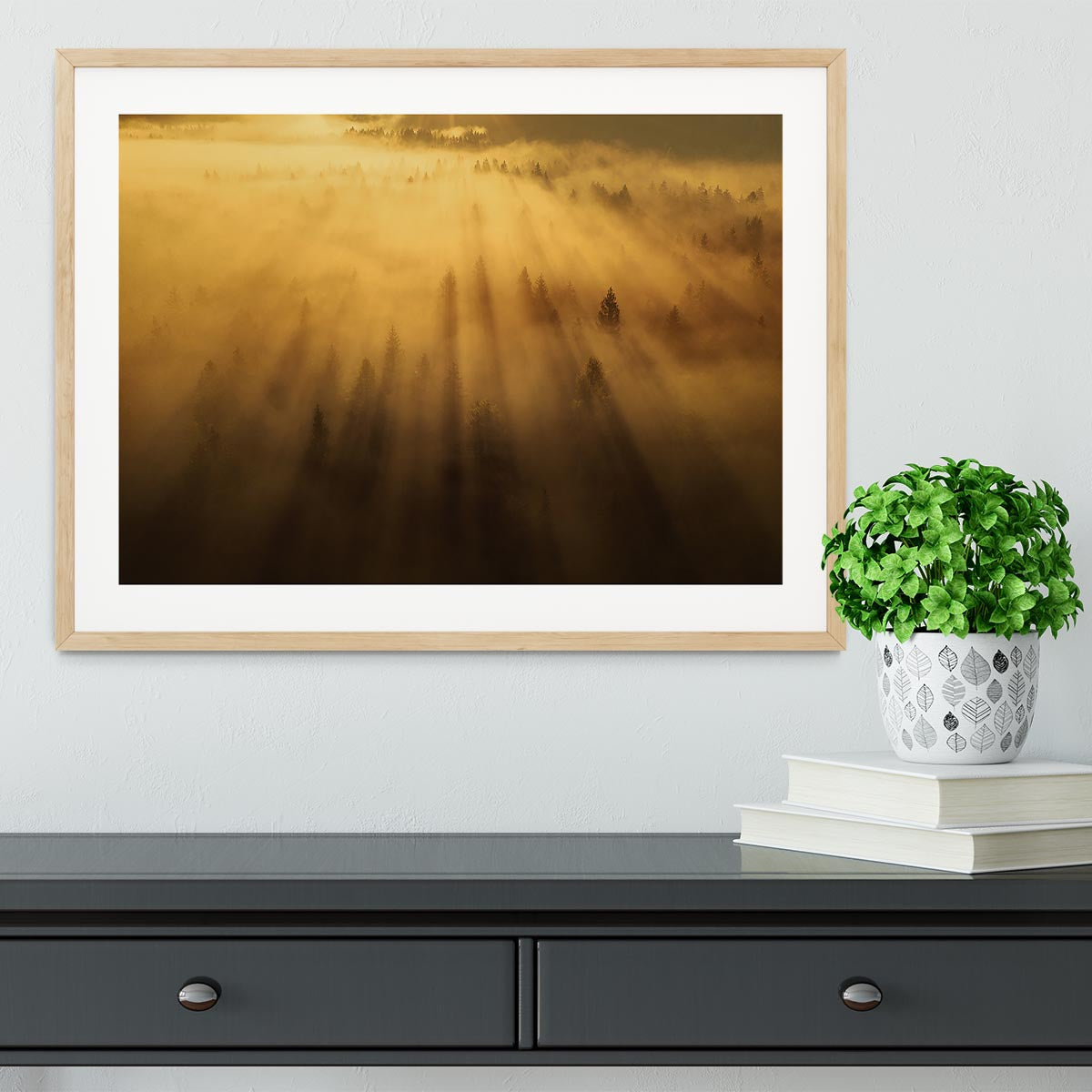 Morning In The Forest Framed Print - Canvas Art Rocks - 3