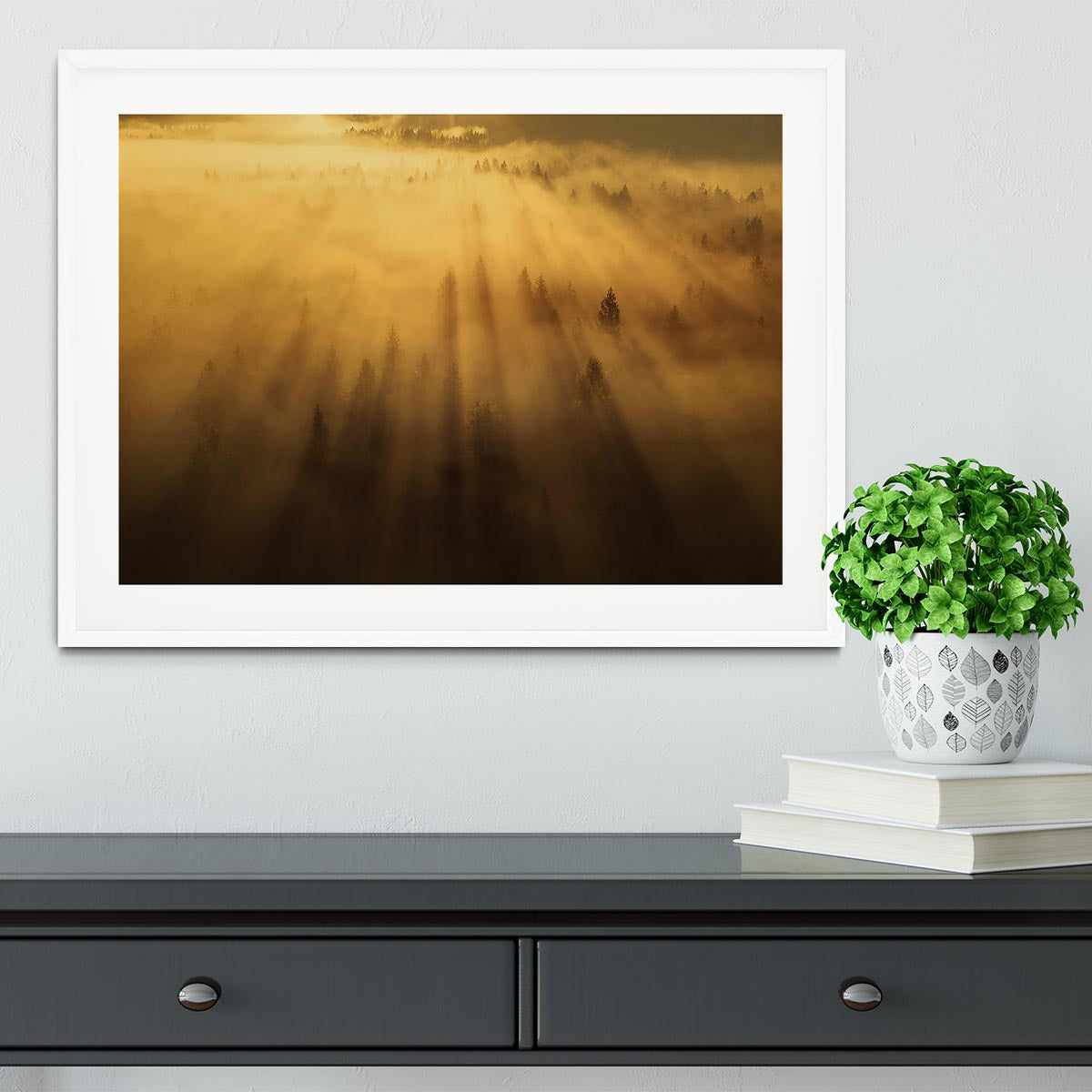 Morning In The Forest Framed Print - Canvas Art Rocks - 5