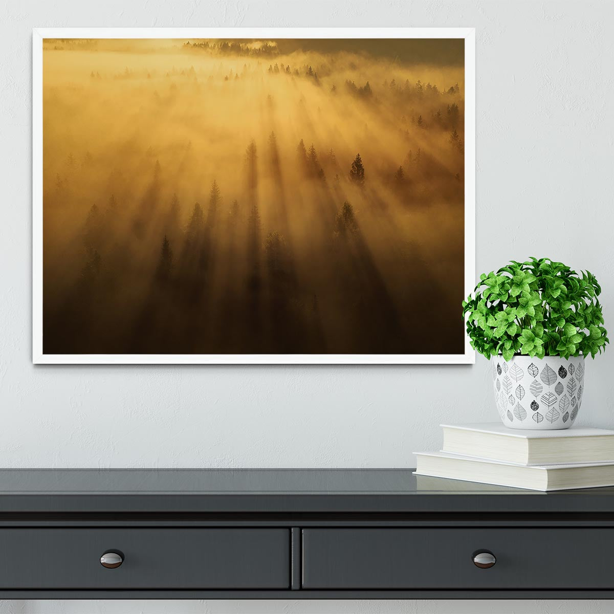 Morning In The Forest Framed Print - Canvas Art Rocks -6