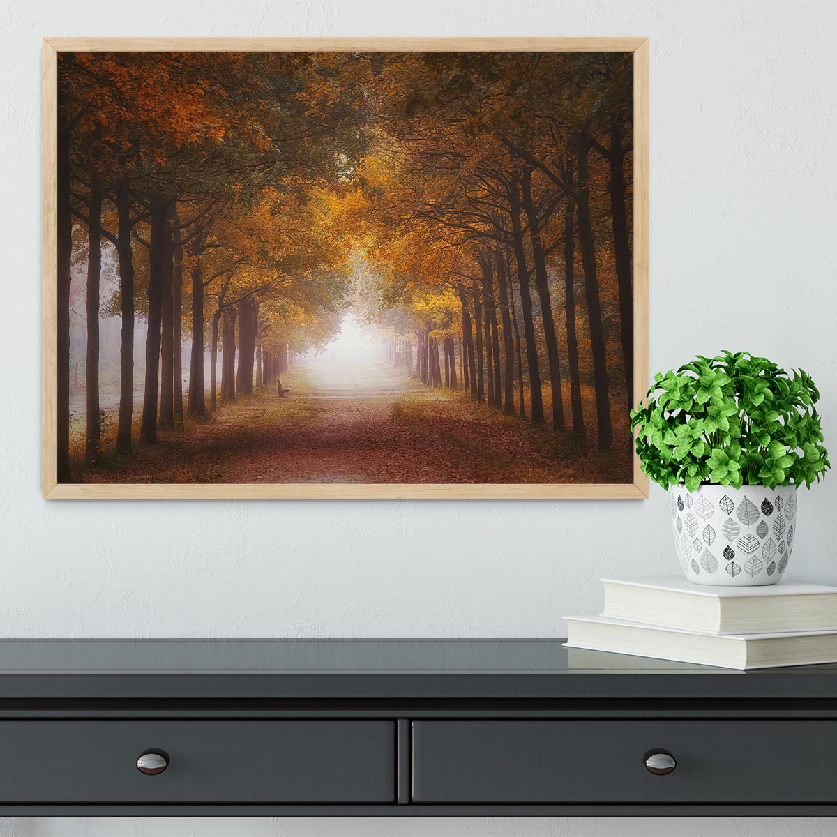 Foggy Autumn Dream Framed Print - Canvas Art Rocks - 4