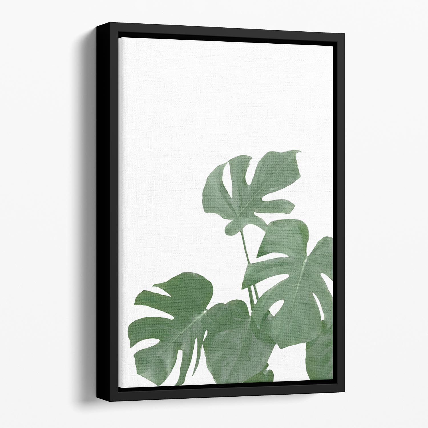 Monstera Aqua 04 Floating Framed Canvas - Canvas Art Rocks - 1