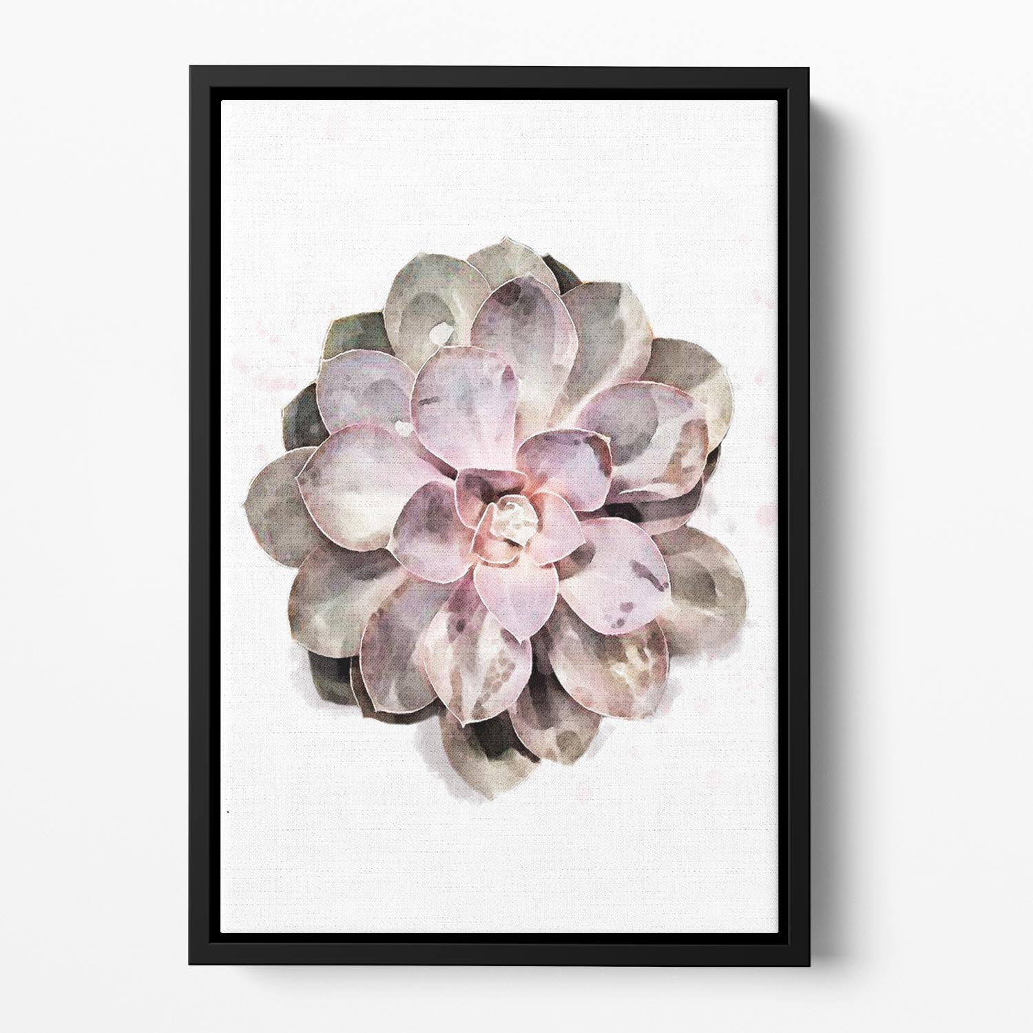 Succulent 01 Floating Framed Canvas - Canvas Art Rocks - 2