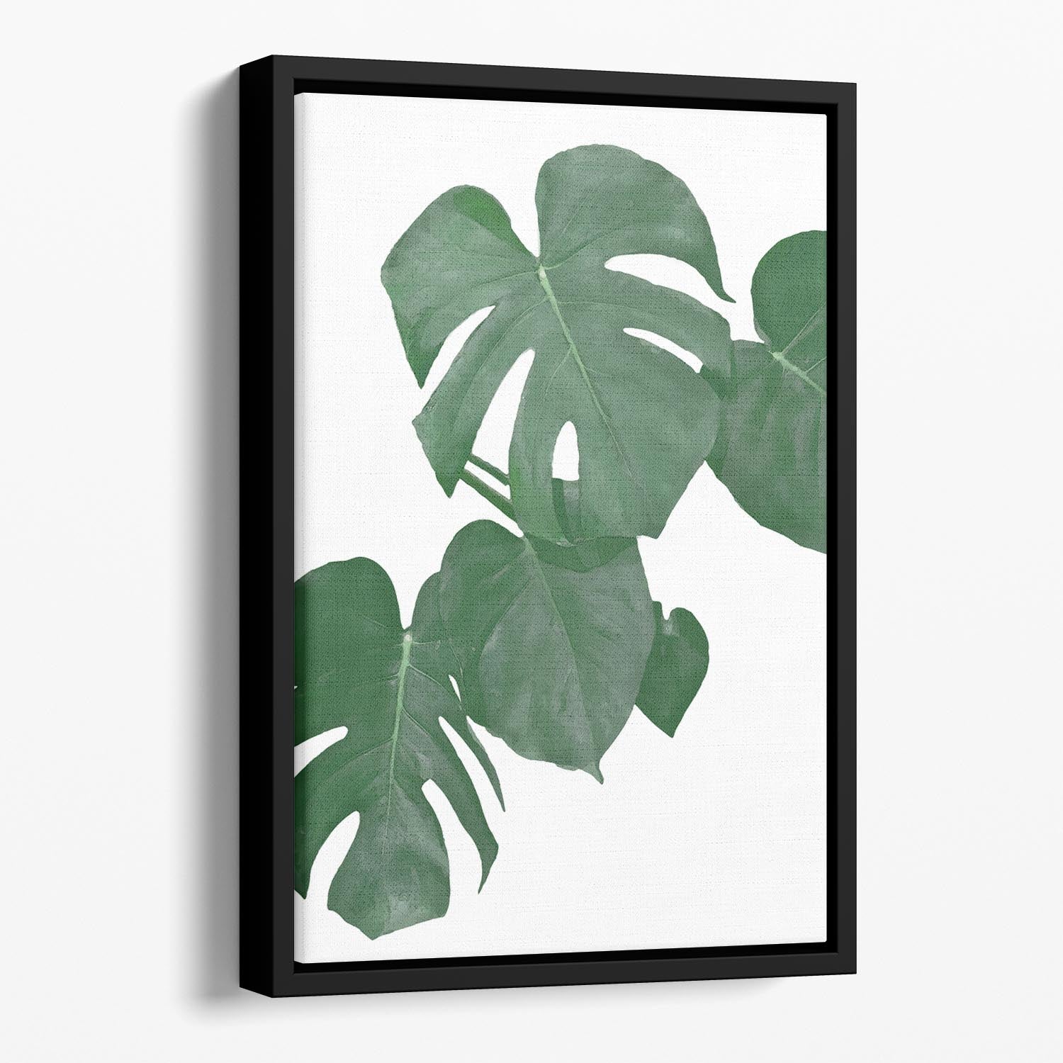 Monstera Aqua 01 Floating Framed Canvas - Canvas Art Rocks - 1