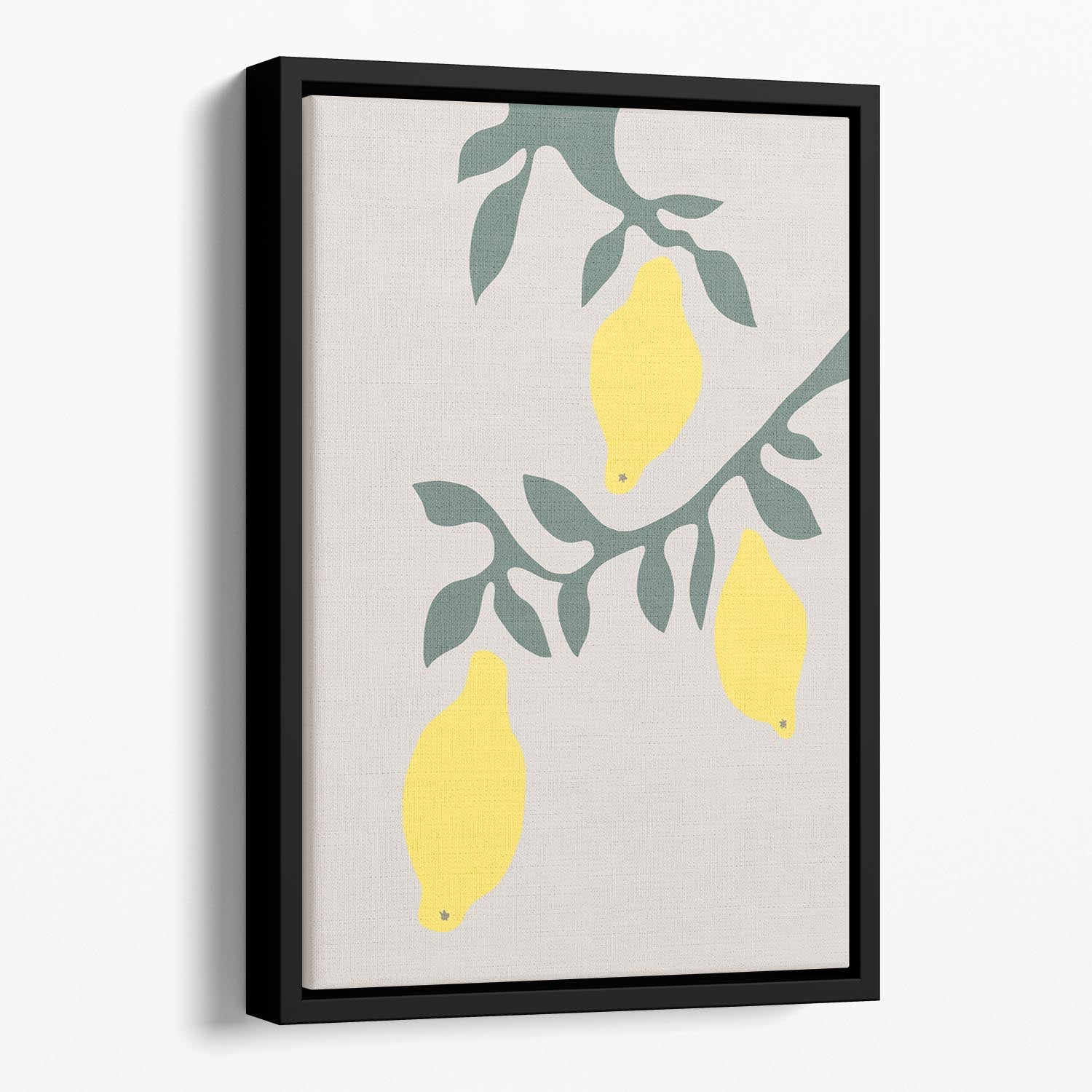 Lemons Floating Framed Canvas - 1x - 1