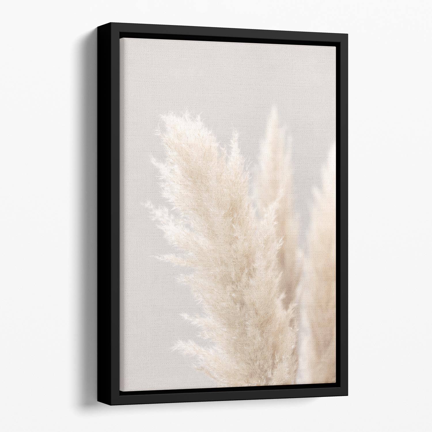 Pampas Grass Grey 03 Floating Framed Canvas - Canvas Art Rocks - 1