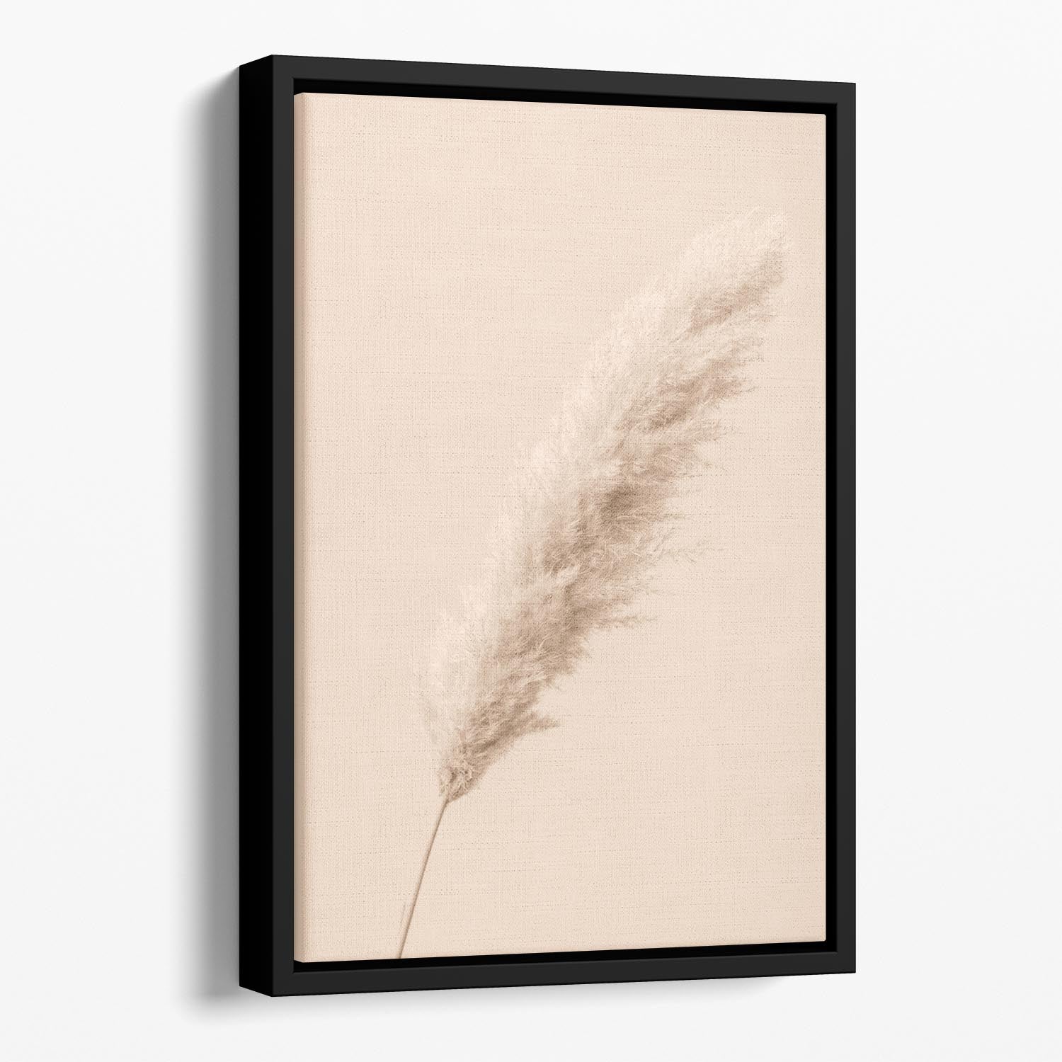 Pampas Grass Begie 14 Floating Framed Canvas - Canvas Art Rocks - 1