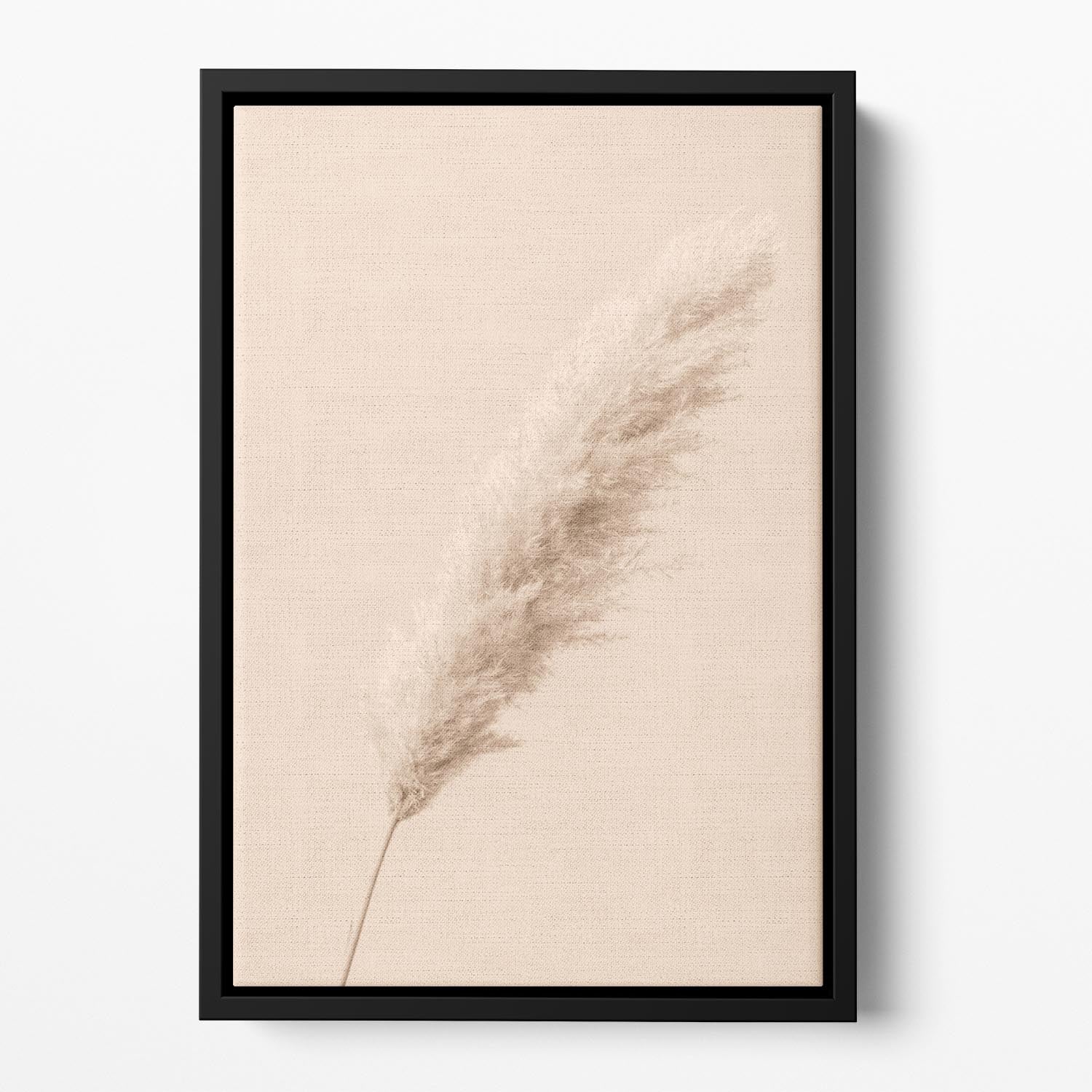 Pampas Grass Begie 14 Floating Framed Canvas - Canvas Art Rocks - 2