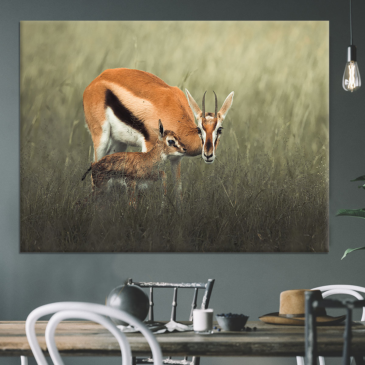 Gazelles Grazing Canvas Print or Poster - Canvas Art Rocks - 3