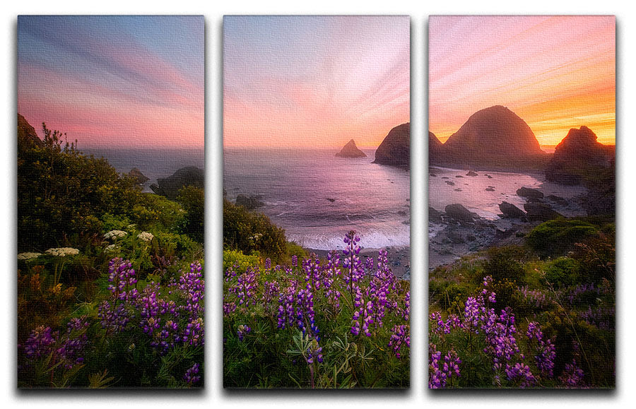 Sister Rocks with Lupin Blooms 3 Split Panel Canvas Print - Canvas Art Rocks - 1