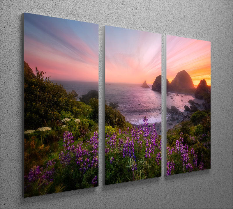 Sister Rocks with Lupin Blooms 3 Split Panel Canvas Print - Canvas Art Rocks - 2