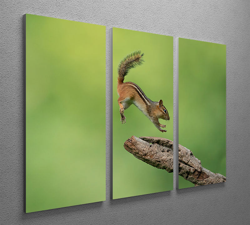 Squirell Leaping 3 Split Panel Canvas Print - Canvas Art Rocks - 2