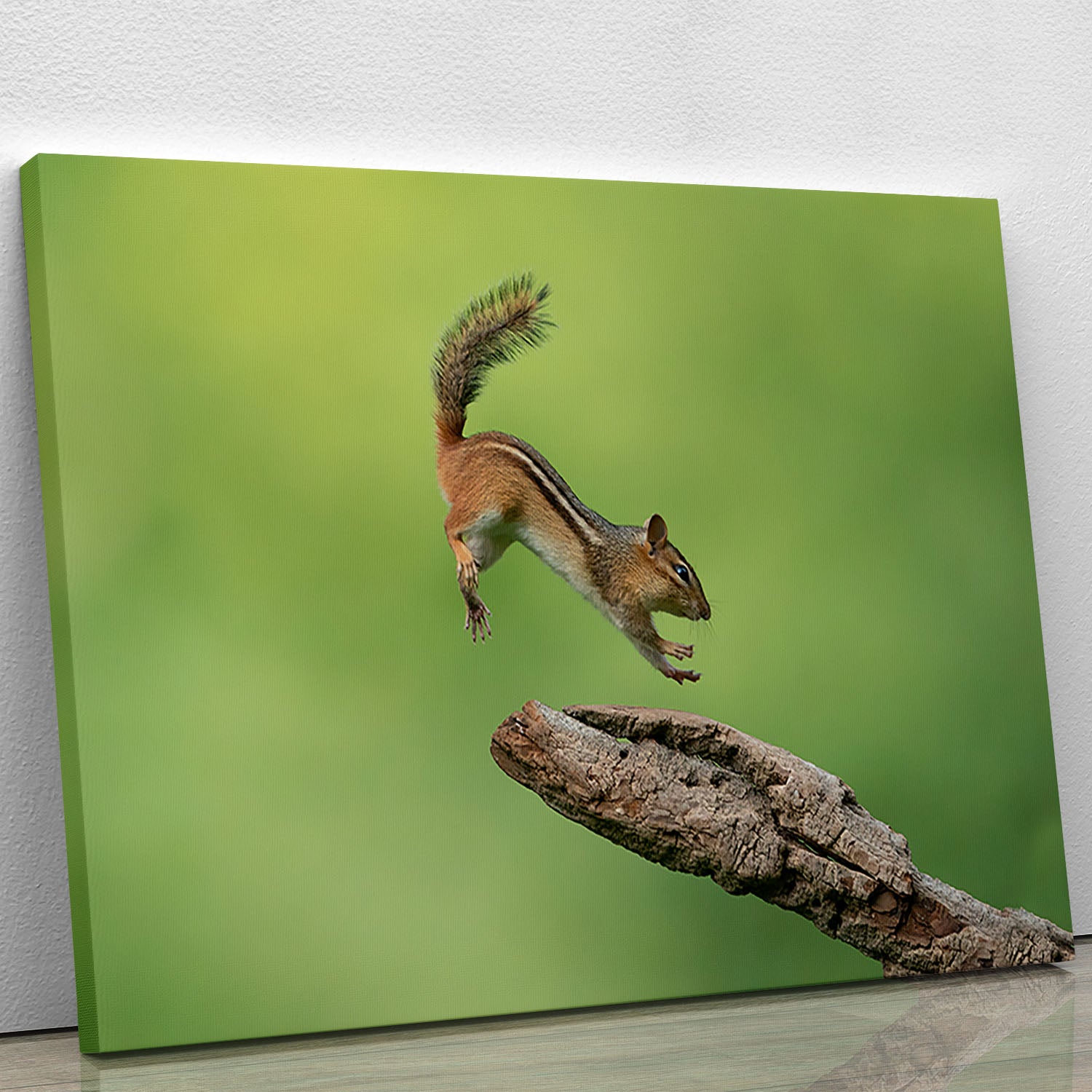 Squirell Leaping Canvas Print or Poster - Canvas Art Rocks - 1