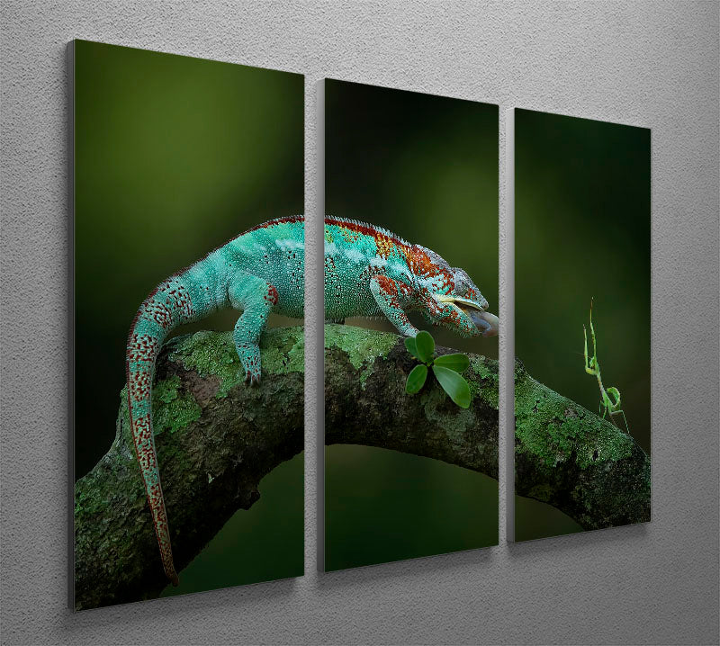 Chamelon Catching Its Prey 3 Split Panel Canvas Print - Canvas Art Rocks - 2