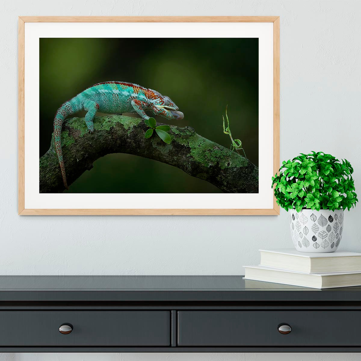 Chamelon Catching Its Prey Framed Print - Canvas Art Rocks - 3