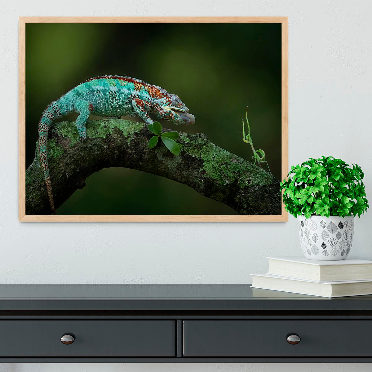 Chamelon Catching Its Prey Framed Print - Canvas Art Rocks - 4