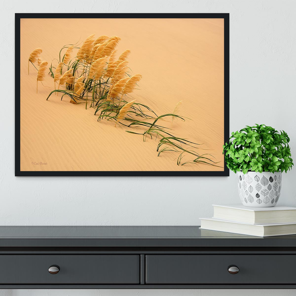 Pampas Grass In Sand Dune Framed Print - Canvas Art Rocks - 2