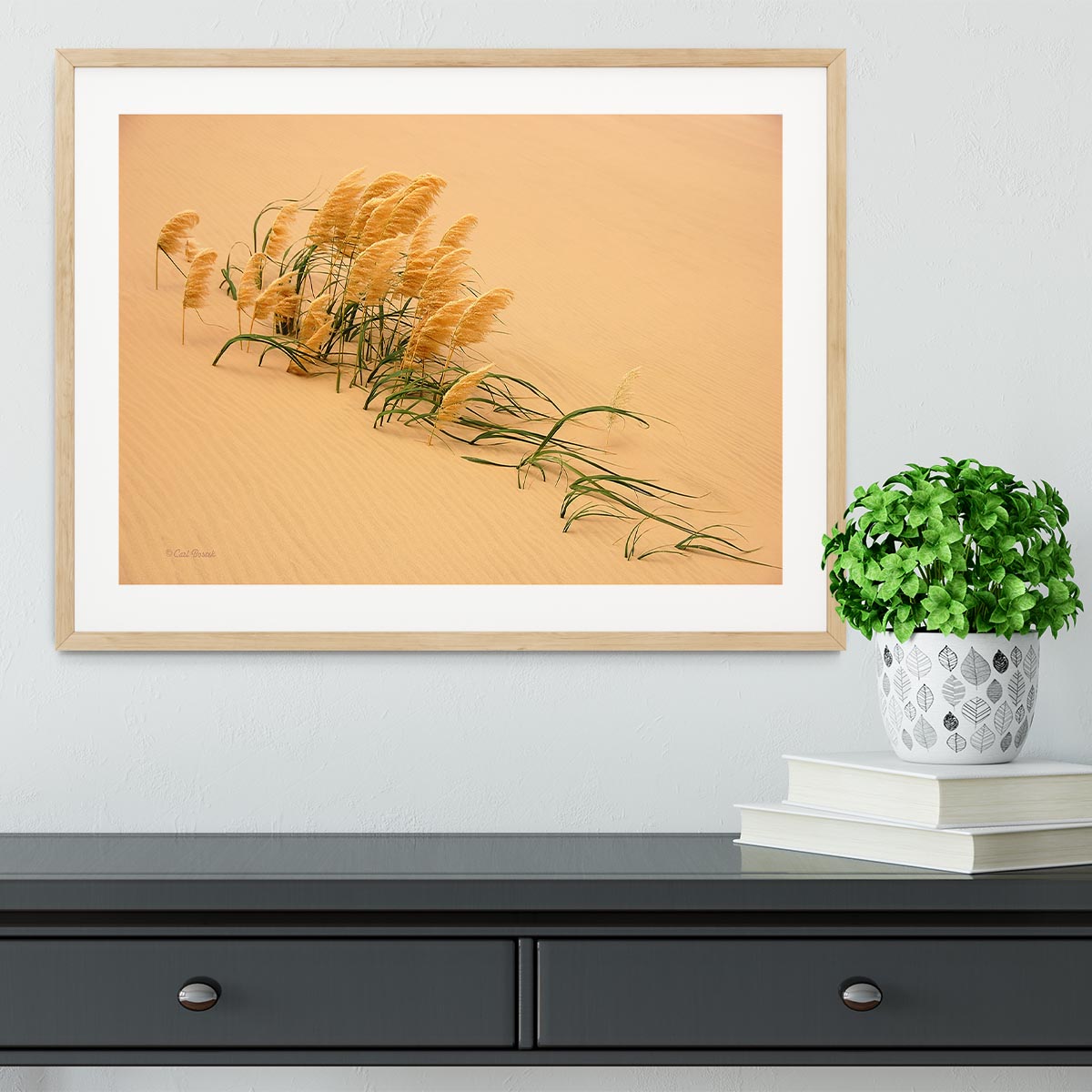 Pampas Grass In Sand Dune Framed Print - Canvas Art Rocks - 3