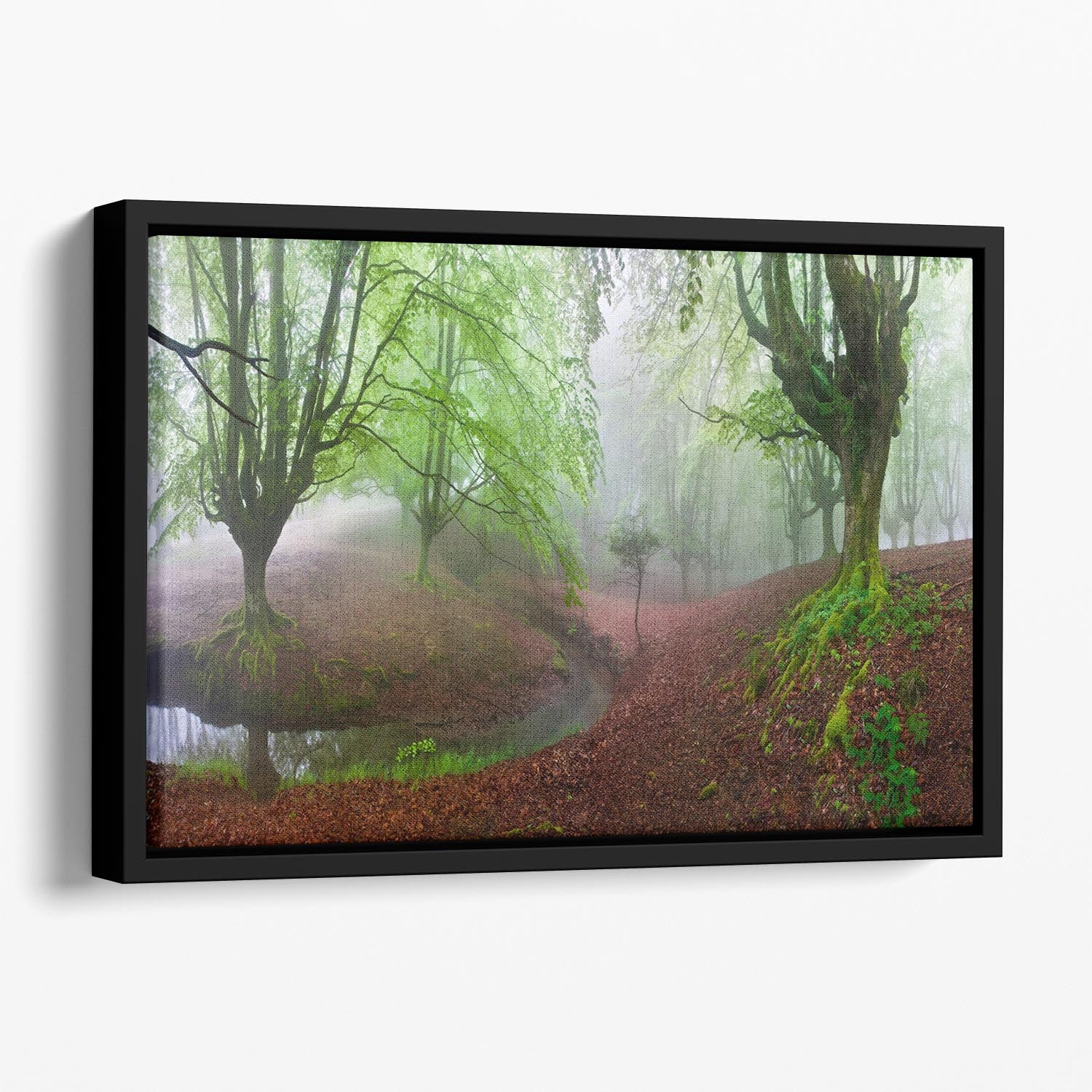 The Forest Maravillador Iii Floating Framed Canvas - Canvas Art Rocks - 1