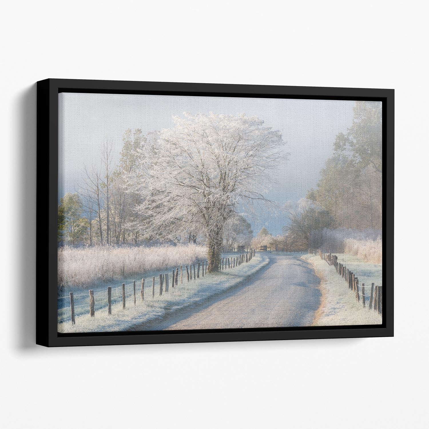 A Frosty Morning Floating Framed Canvas - Canvas Art Rocks - 1