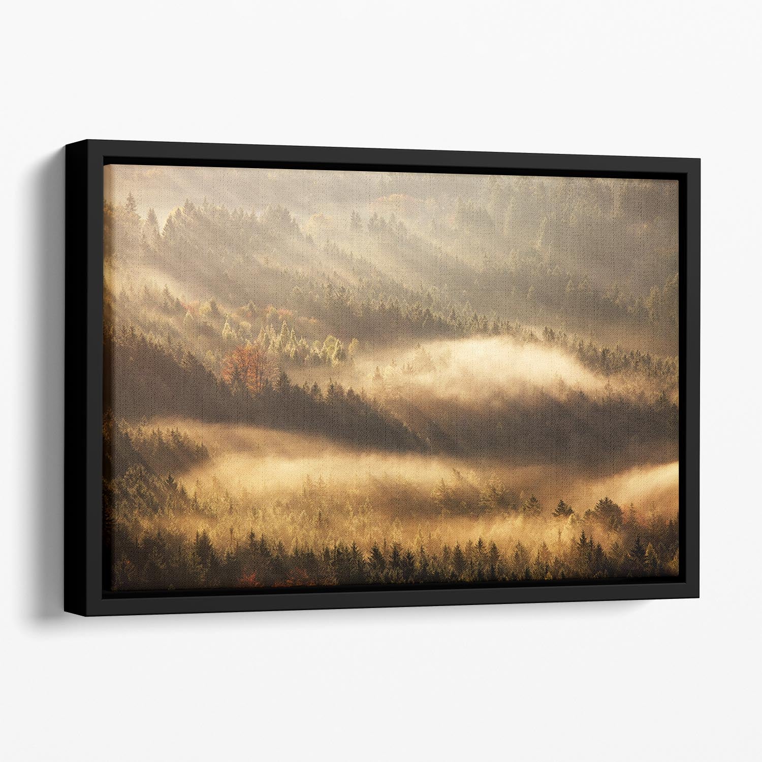 Autumn Rays Floating Framed Canvas - Canvas Art Rocks - 1