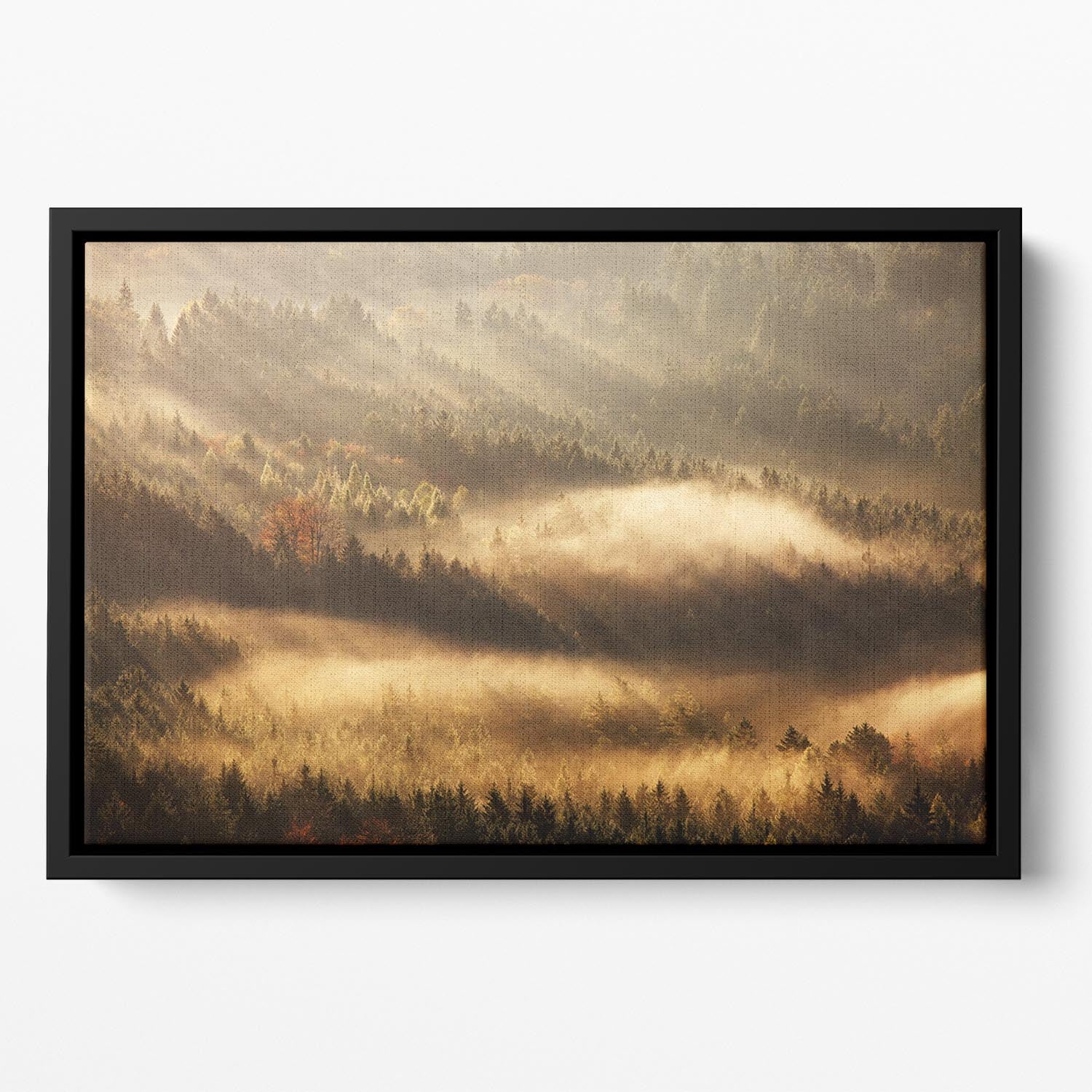 Autumn Rays Floating Framed Canvas - Canvas Art Rocks - 2