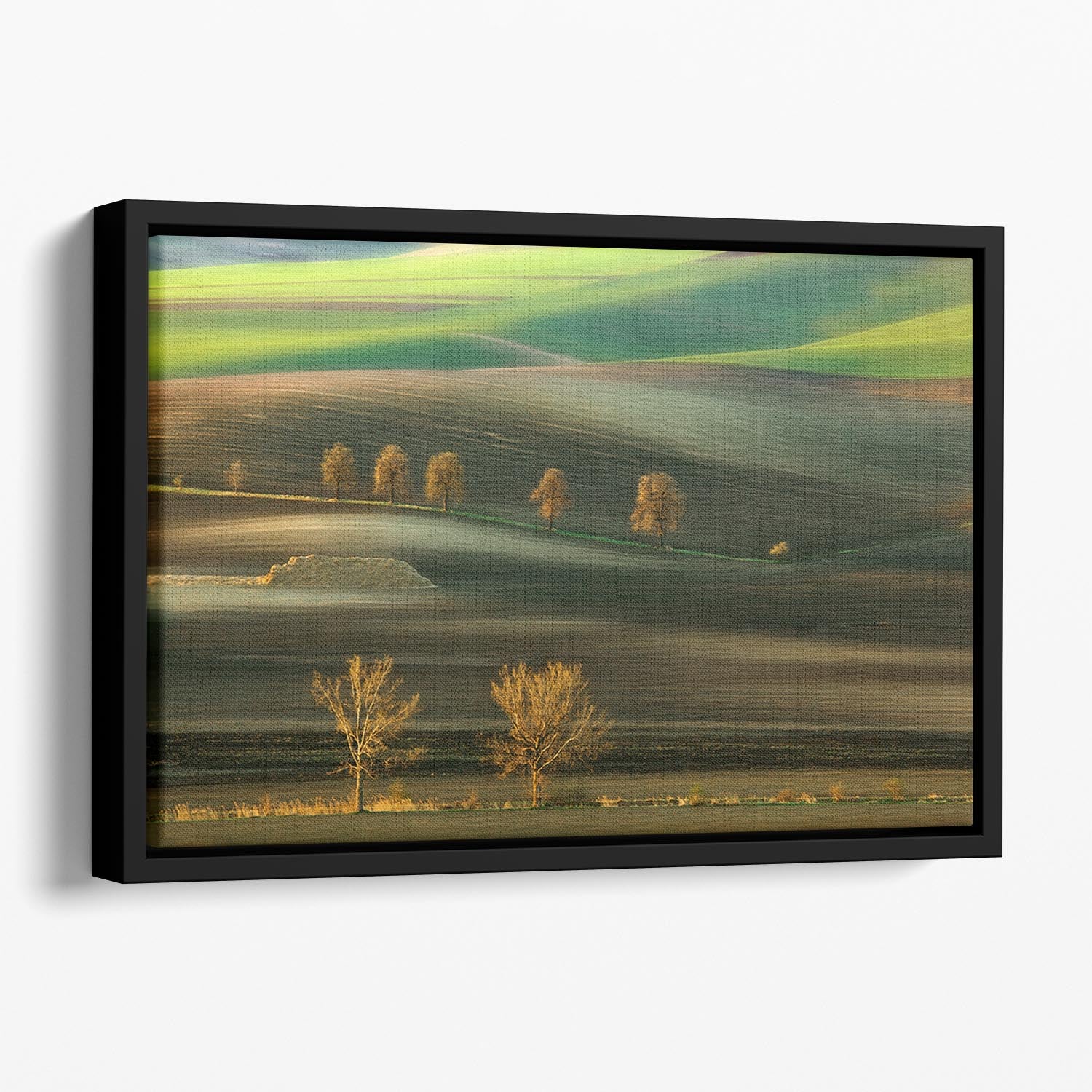 Ten Floating Framed Canvas - Canvas Art Rocks - 1