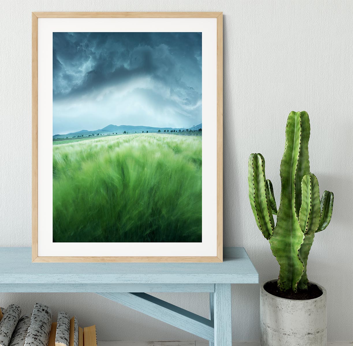 Barley Field Framed Print - Canvas Art Rocks - 3