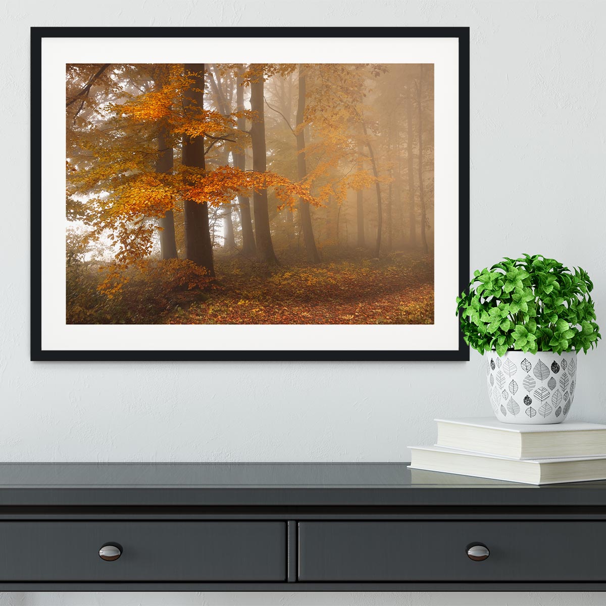 Edge Of The Woods Framed Print - Canvas Art Rocks - 1