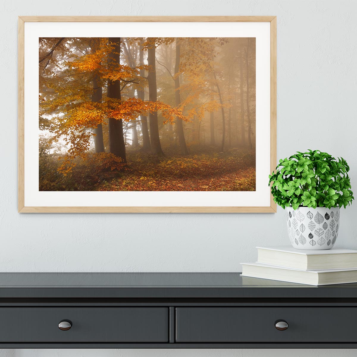 Edge Of The Woods Framed Print - Canvas Art Rocks - 3