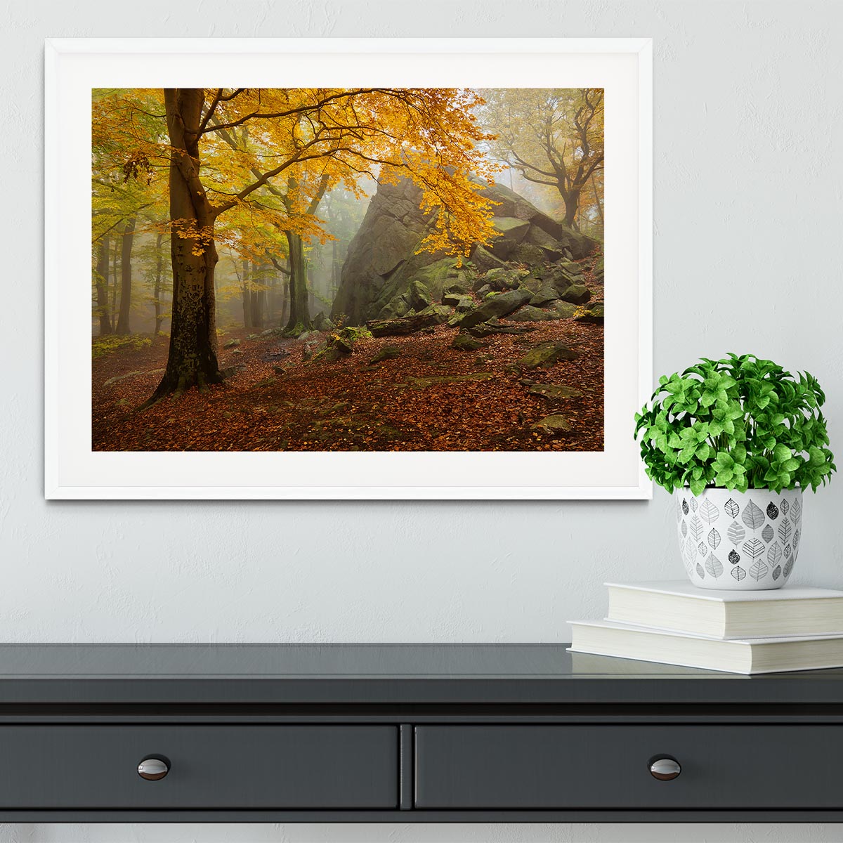 Autumn Forest Framed Print - Canvas Art Rocks - 5