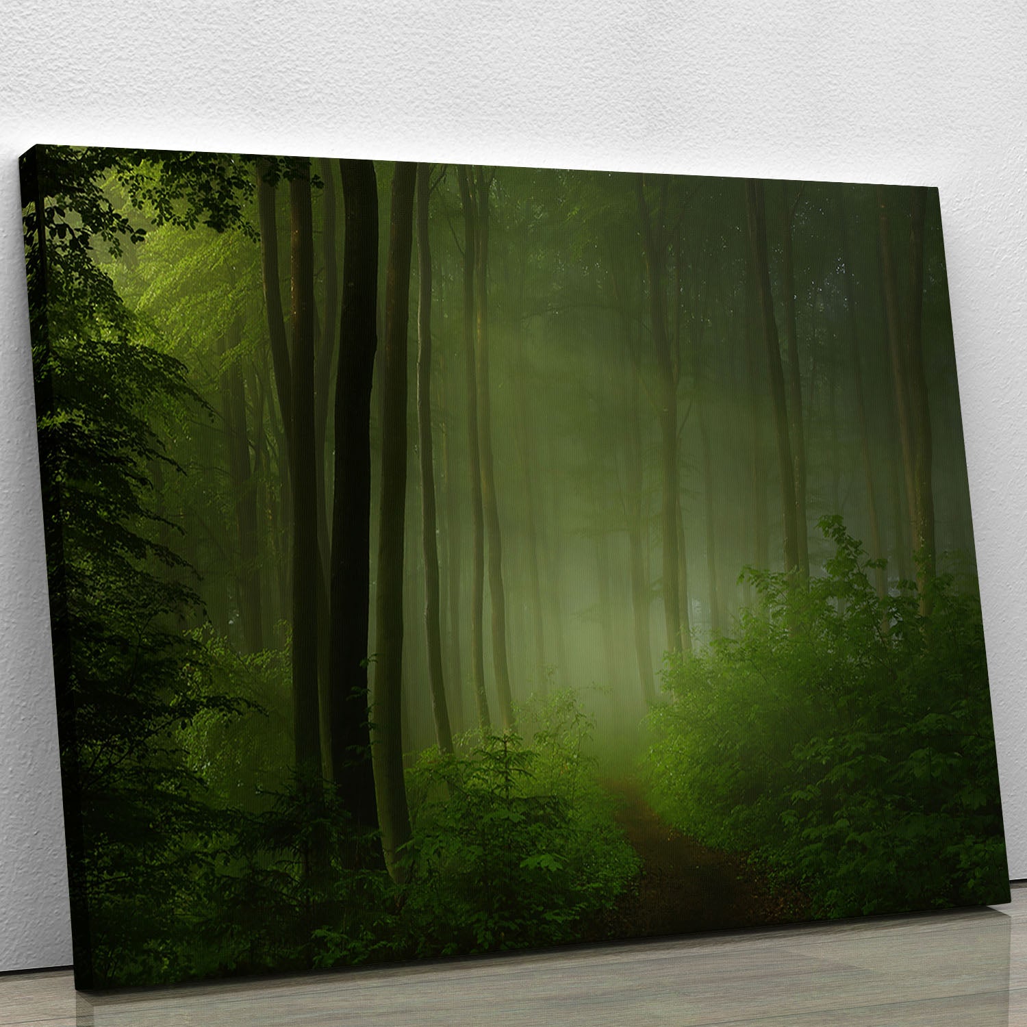 Forest Morning Canvas Print or Poster - Canvas Art Rocks - 1