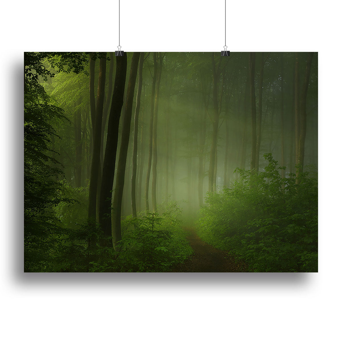 Forest Morning Canvas Print or Poster - Canvas Art Rocks - 2
