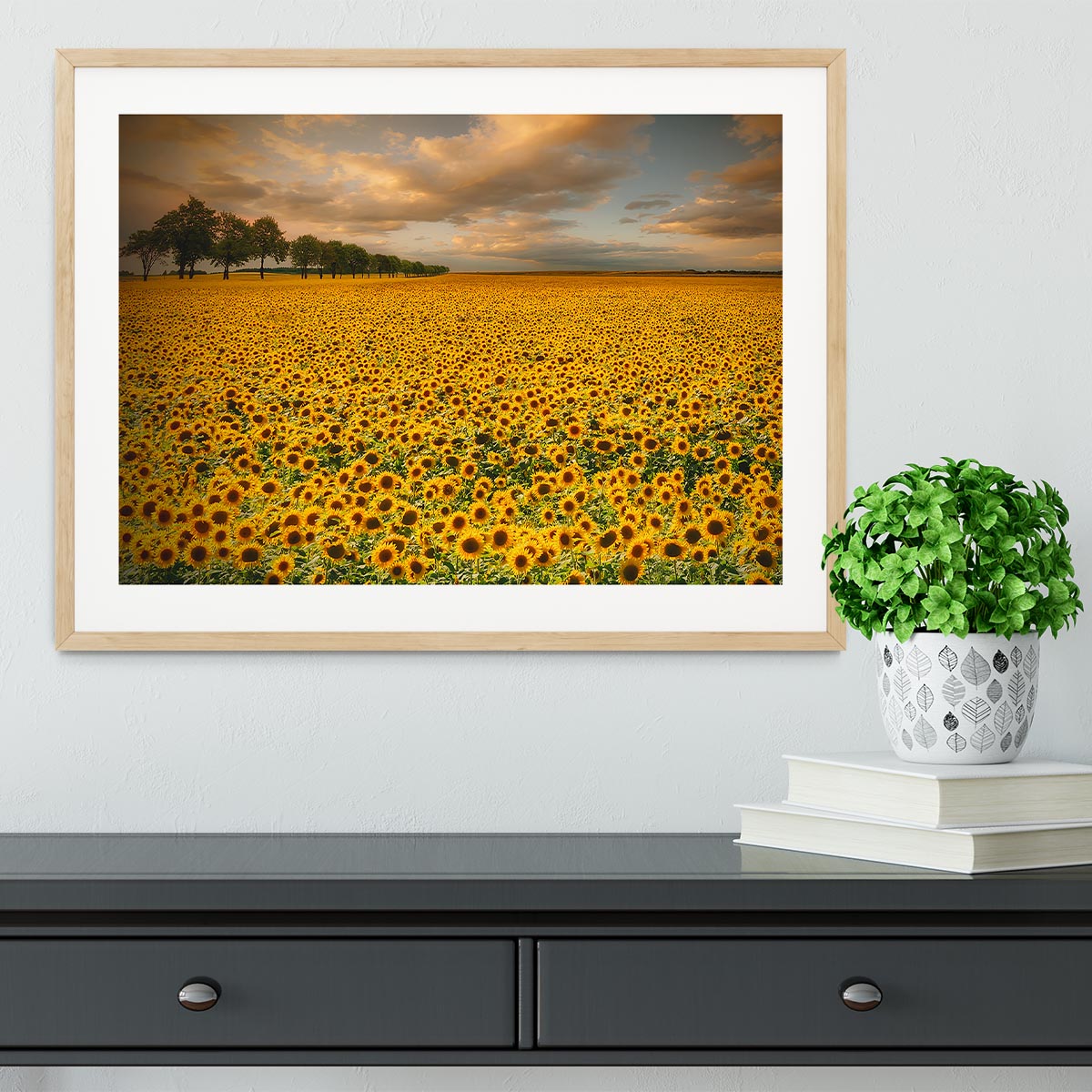 Sunflowers Framed Print - Canvas Art Rocks - 3