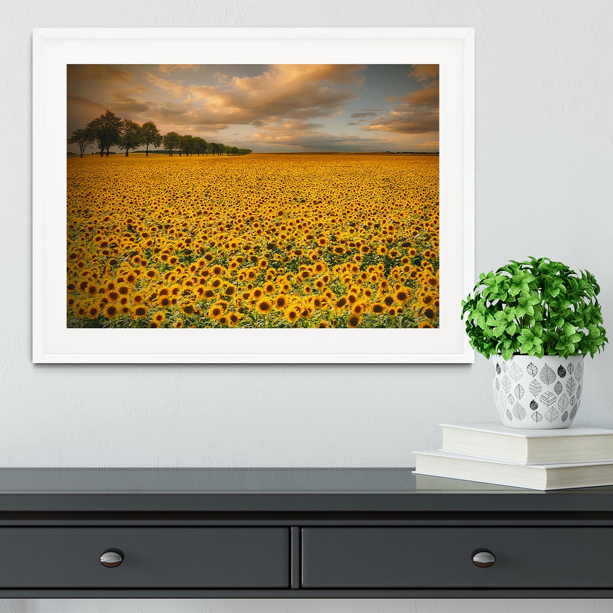 Sunflowers Framed Print - Canvas Art Rocks - 5