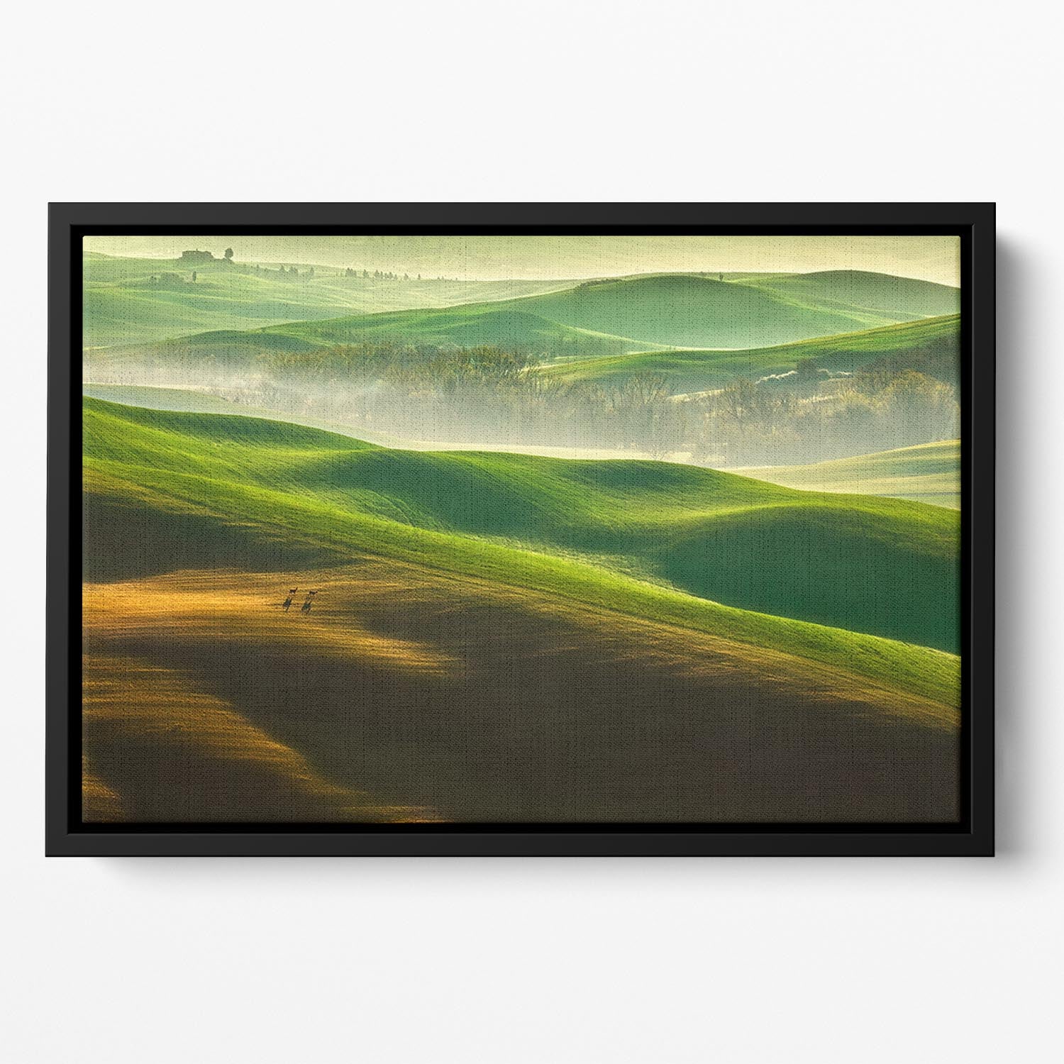 Freedom Floating Framed Canvas - 1x - 2