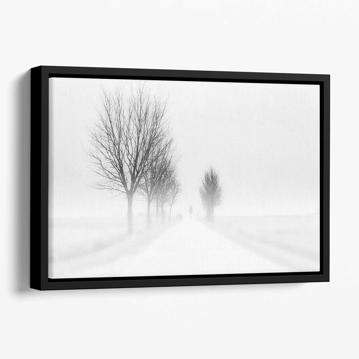 My Tiny World Floating Framed Canvas - Canvas Art Rocks - 1