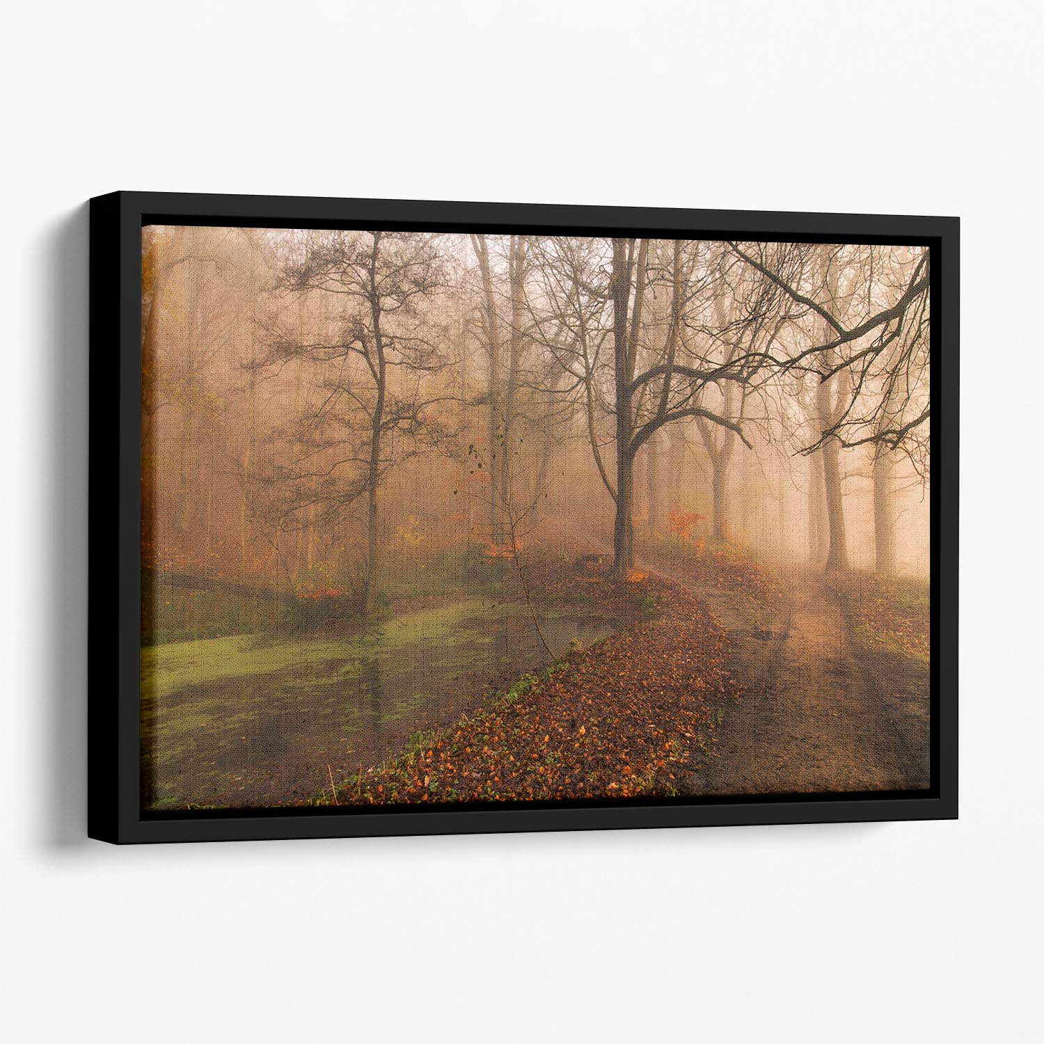 Which Path Ii Floating Framed Canvas - Canvas Art Rocks - 1