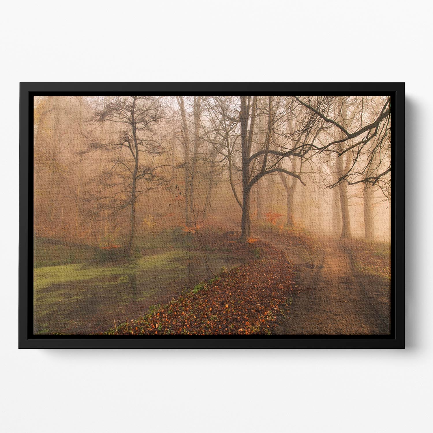 Which Path Ii Floating Framed Canvas - Canvas Art Rocks - 2