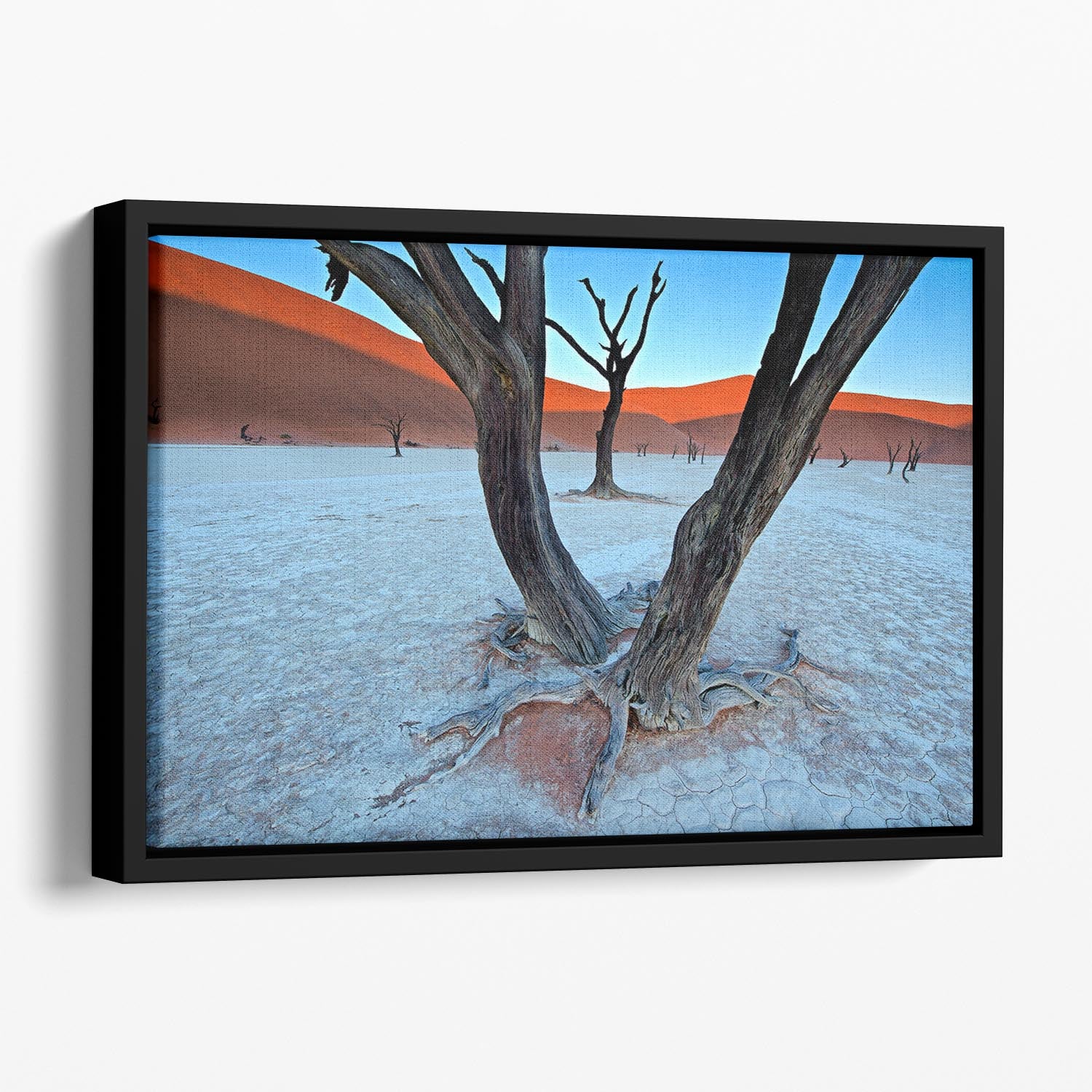 Ancient Trees In The Vlei Floating Framed Canvas - Canvas Art Rocks - 1