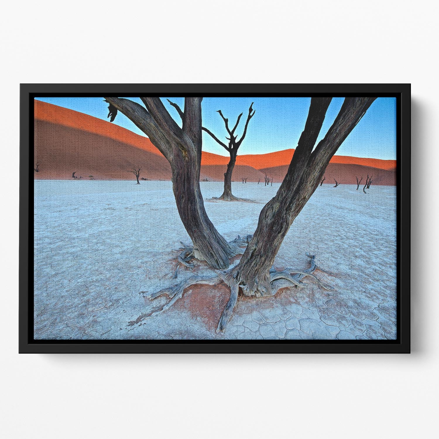 Ancient Trees In The Vlei Floating Framed Canvas - Canvas Art Rocks - 2