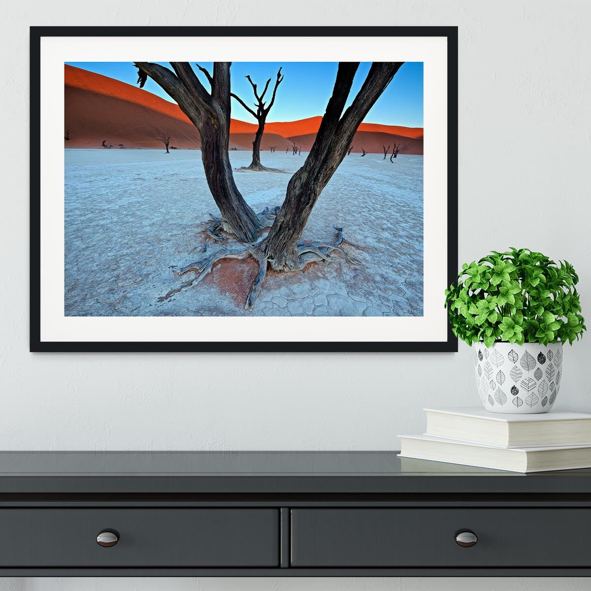 Ancient Trees In The Vlei Framed Print - Canvas Art Rocks - 1