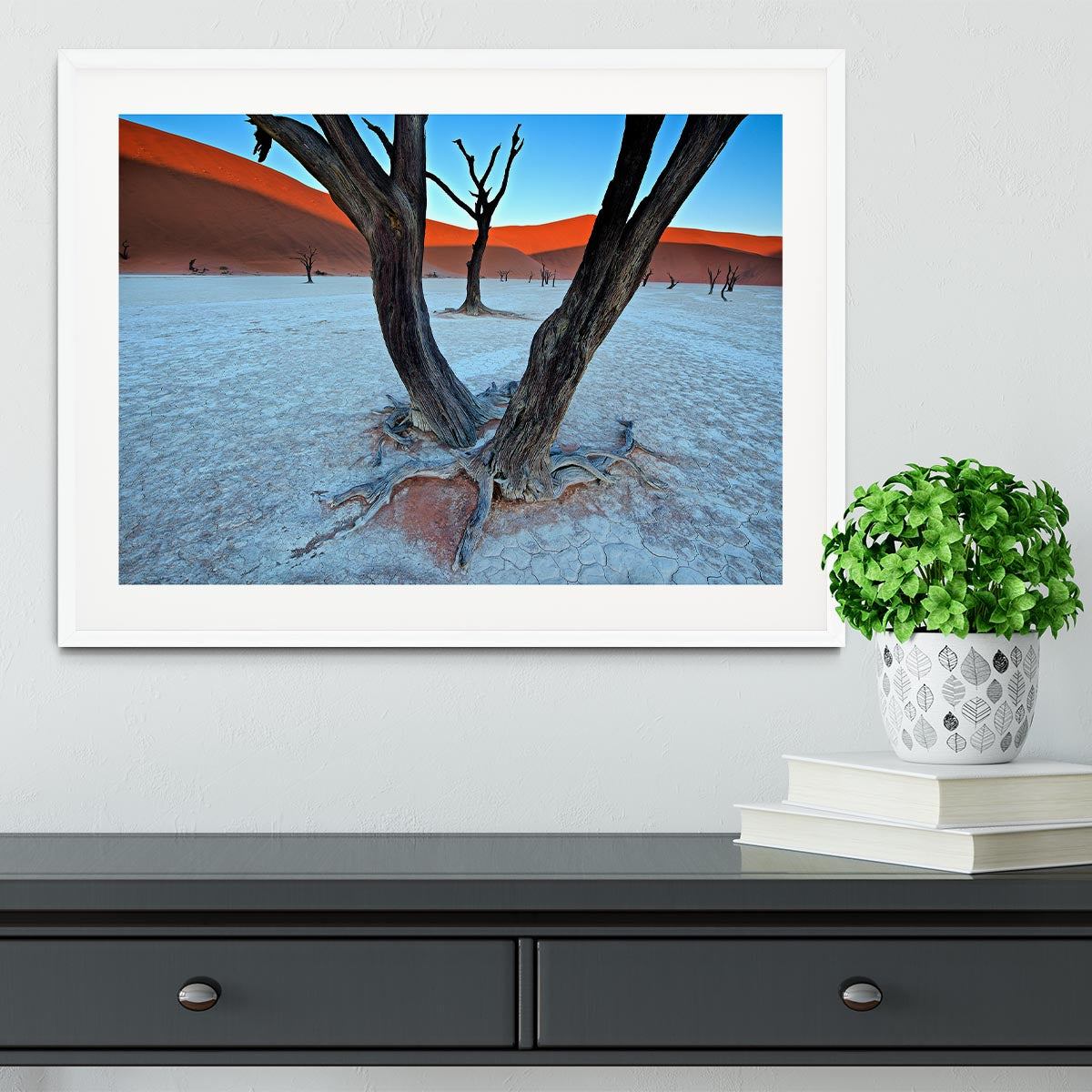 Ancient Trees In The Vlei Framed Print - Canvas Art Rocks - 5