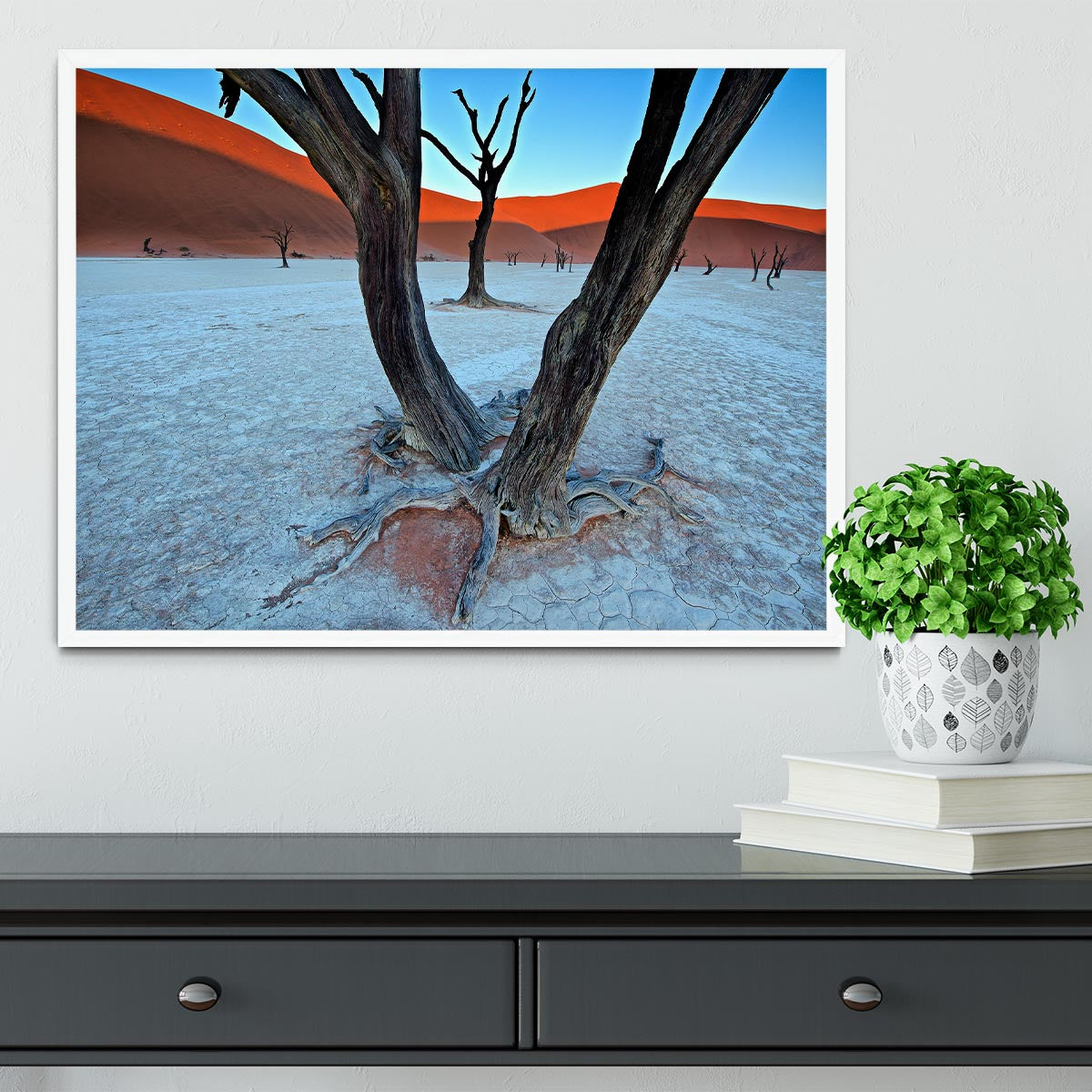 Ancient Trees In The Vlei Framed Print - Canvas Art Rocks -6