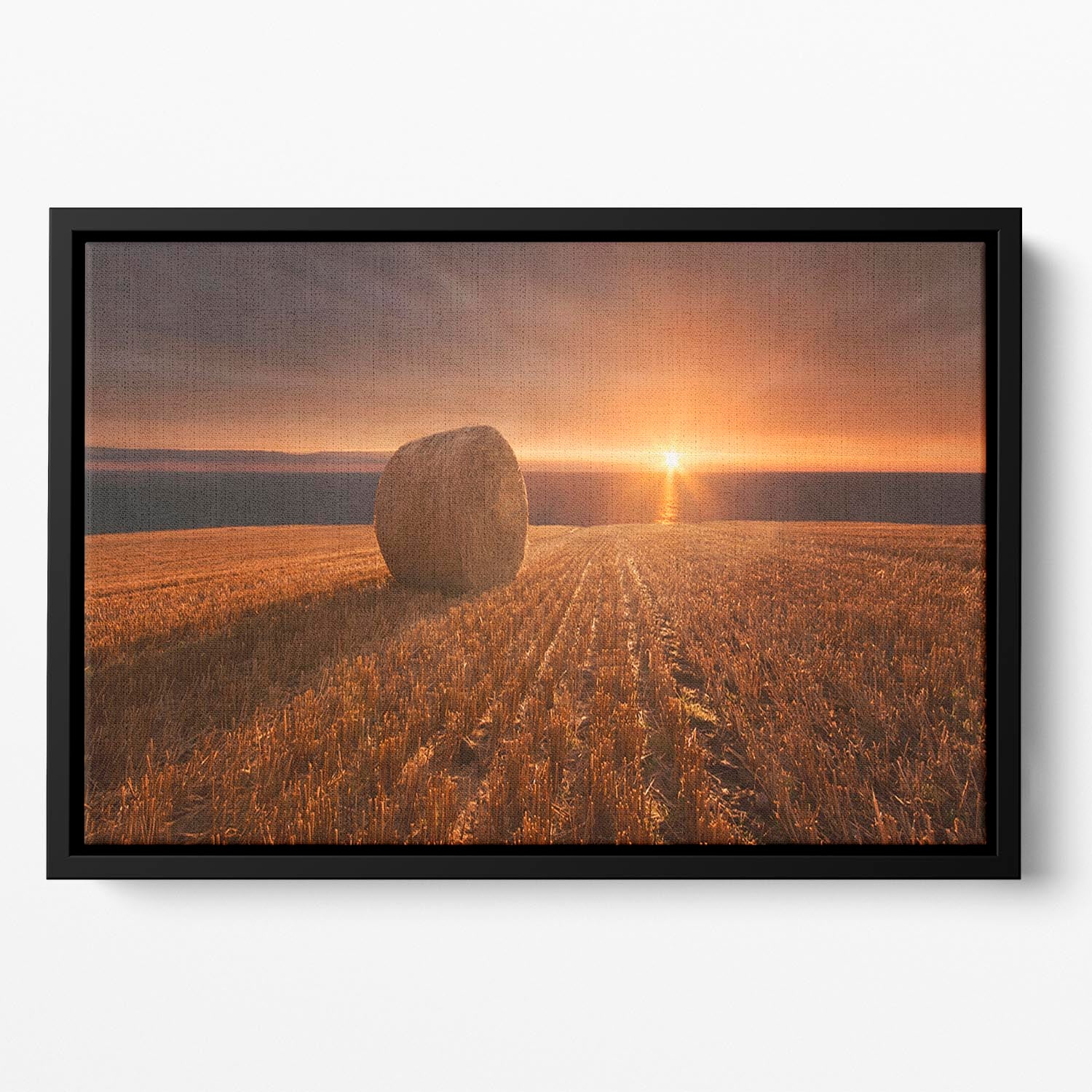 Gold Harvest Floating Framed Canvas - Canvas Art Rocks - 2