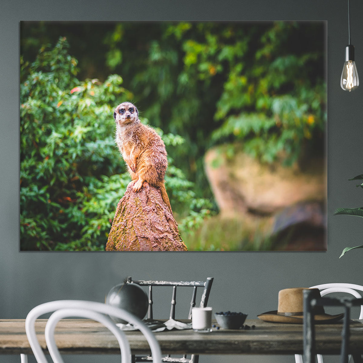 A Meerkats full attention Canvas Print or Poster - Canvas Art Rocks - 3