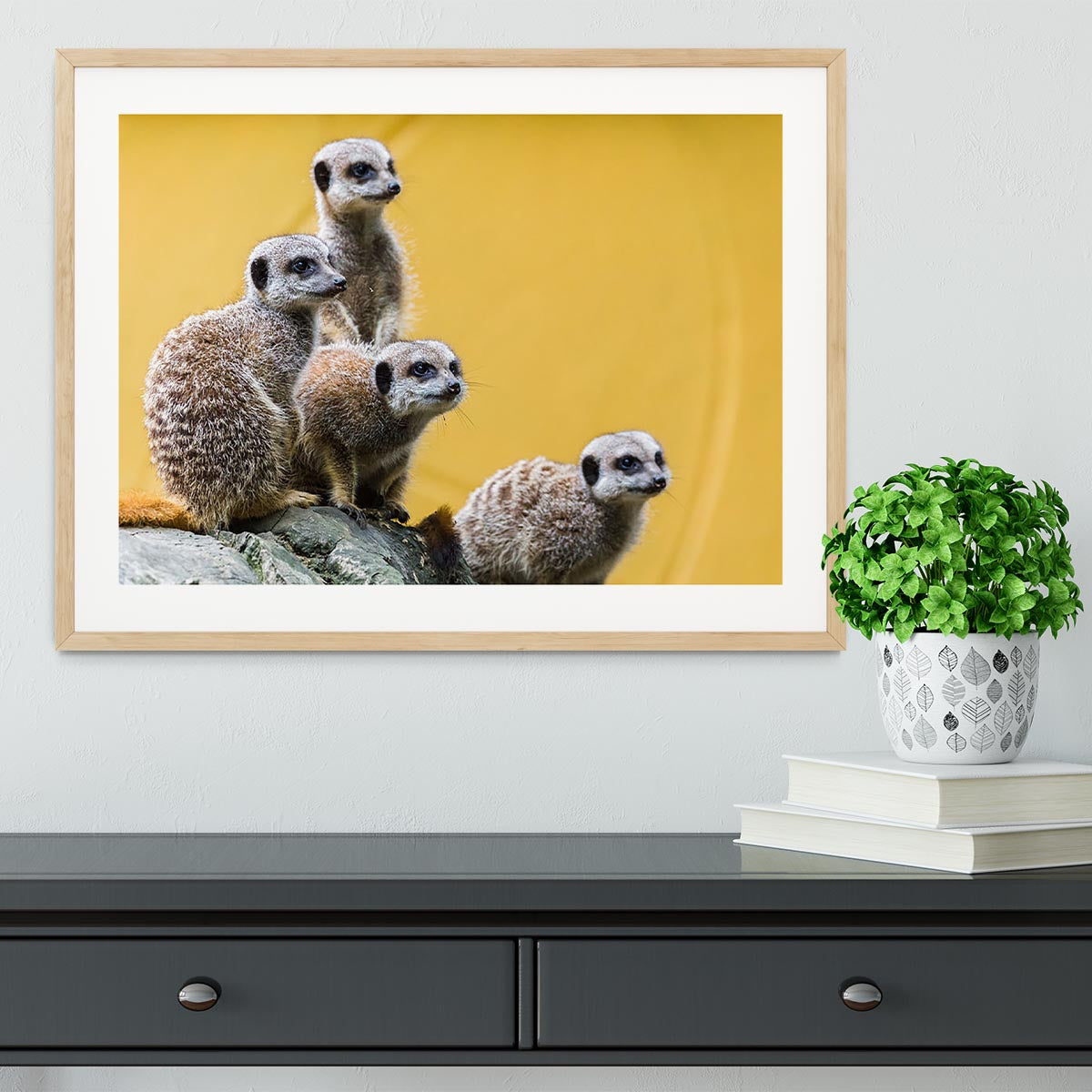 A group of meerkats seen on top of a rock Framed Print - Canvas Art Rocks - 3